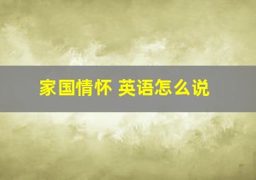 家国情怀 英语怎么说